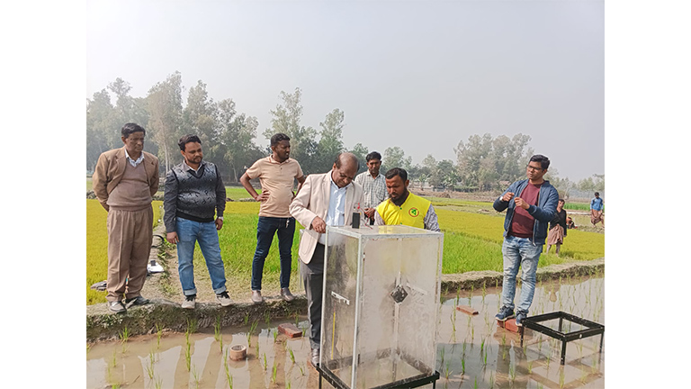 Gas sampling in project site