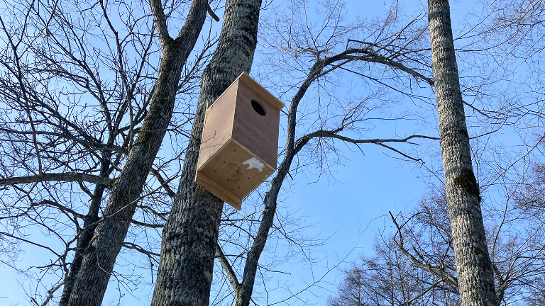 北海道：フクロウ巣箱設置