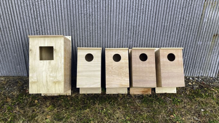 北海道：フクロウ巣箱設置